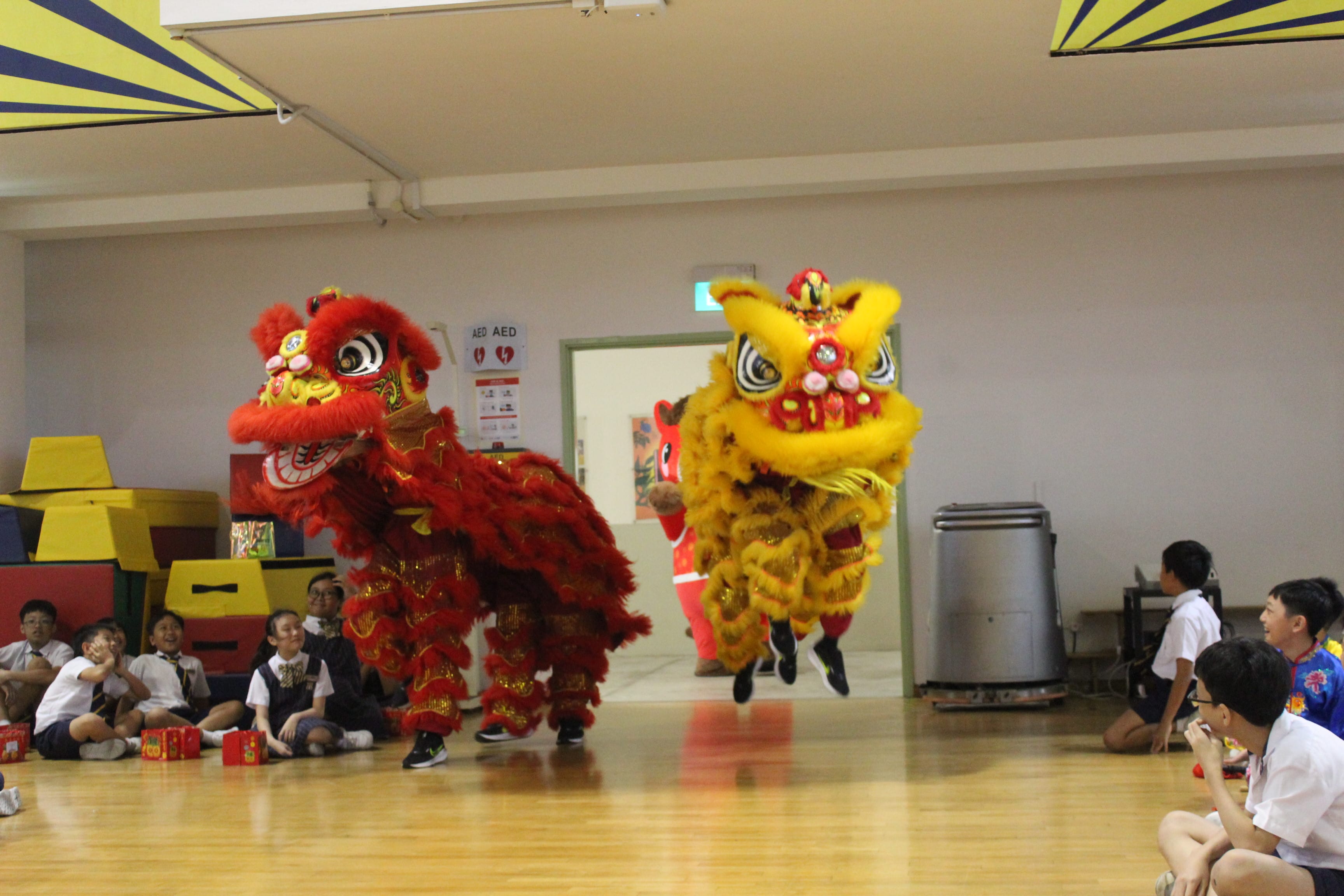 Lion Dance at Beacon